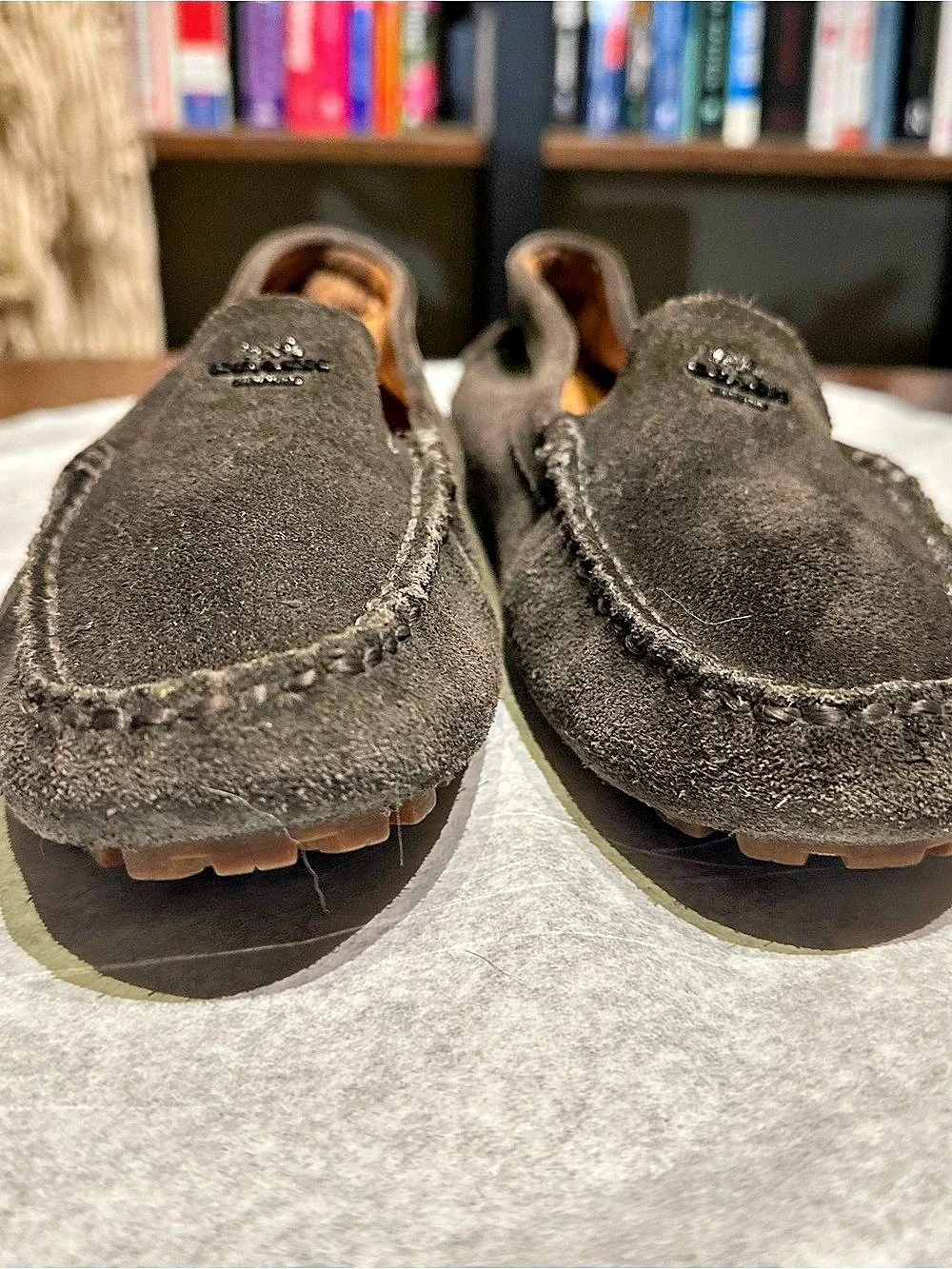 Coach Amber Suede Driving Moccasins Piombo Gray Loafers Sz 8B Quiet Luxury